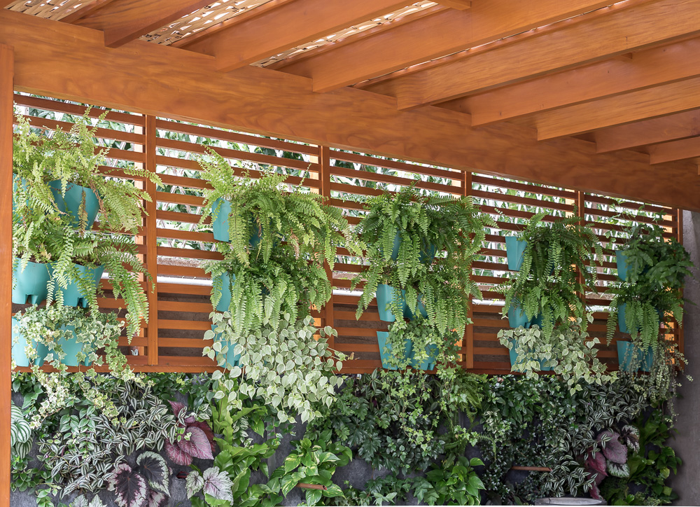 Plantas para decorar os pergolados Cobrire Construções em Madeira -> Decoração De Ambientes Externos Fotos Plantas para decorar os pergolados Cobrire Construções em Madeira -> Decoração De Ambientes Externos Fotos